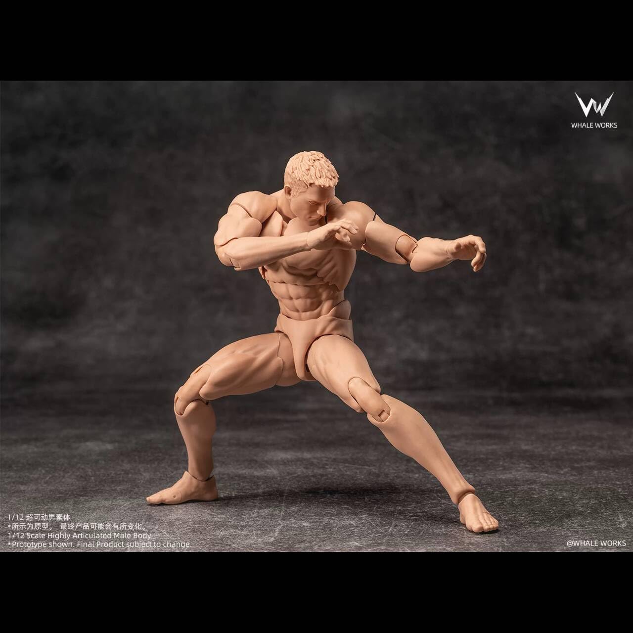Amazon.co.jp: [Tbmodel] 鯨工坊 1/12 フィギュア 超可動 男性 Ash 素